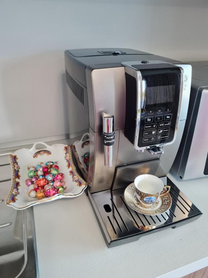 Sole Di Diana Luxury Apartments ペスキエーラ・デル・ガルダ エクステリア 写真